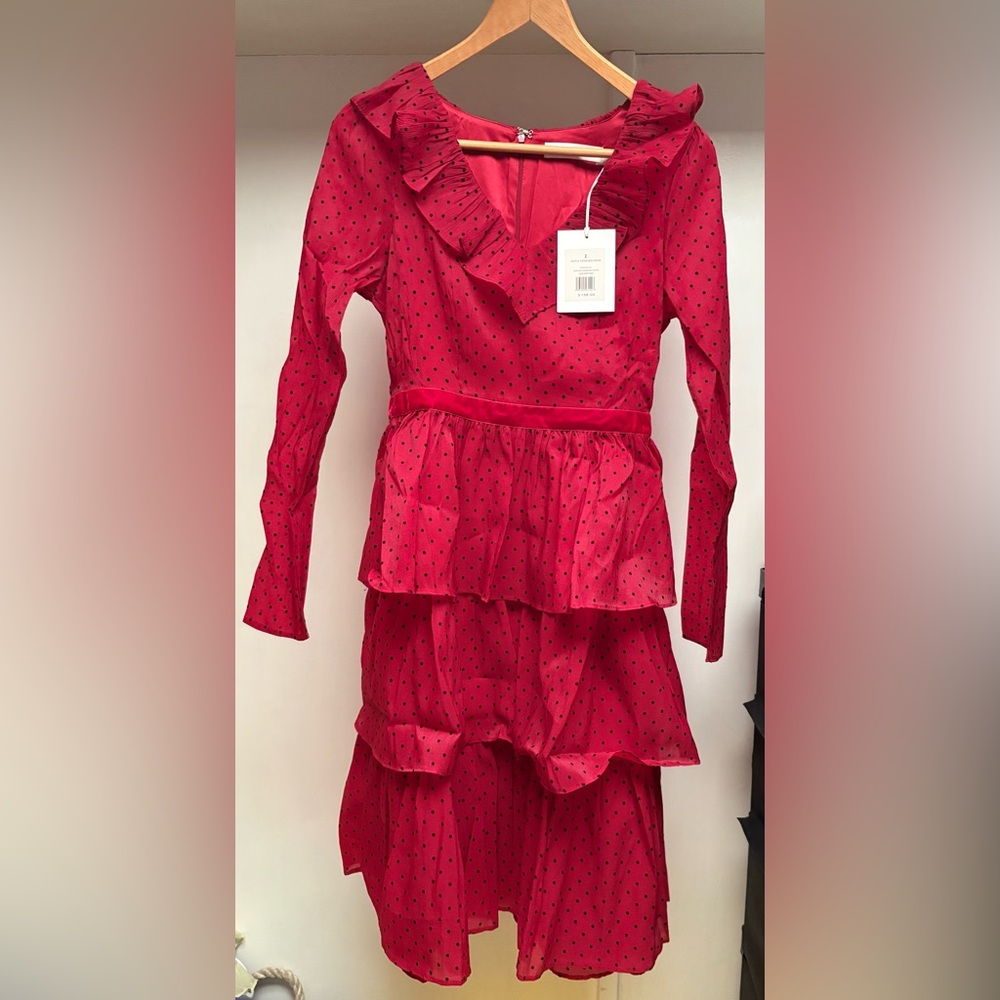 Rachel Parcell Size 2 Ruffle Tiered Midi Dress